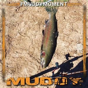 Meet your Posher, Jake